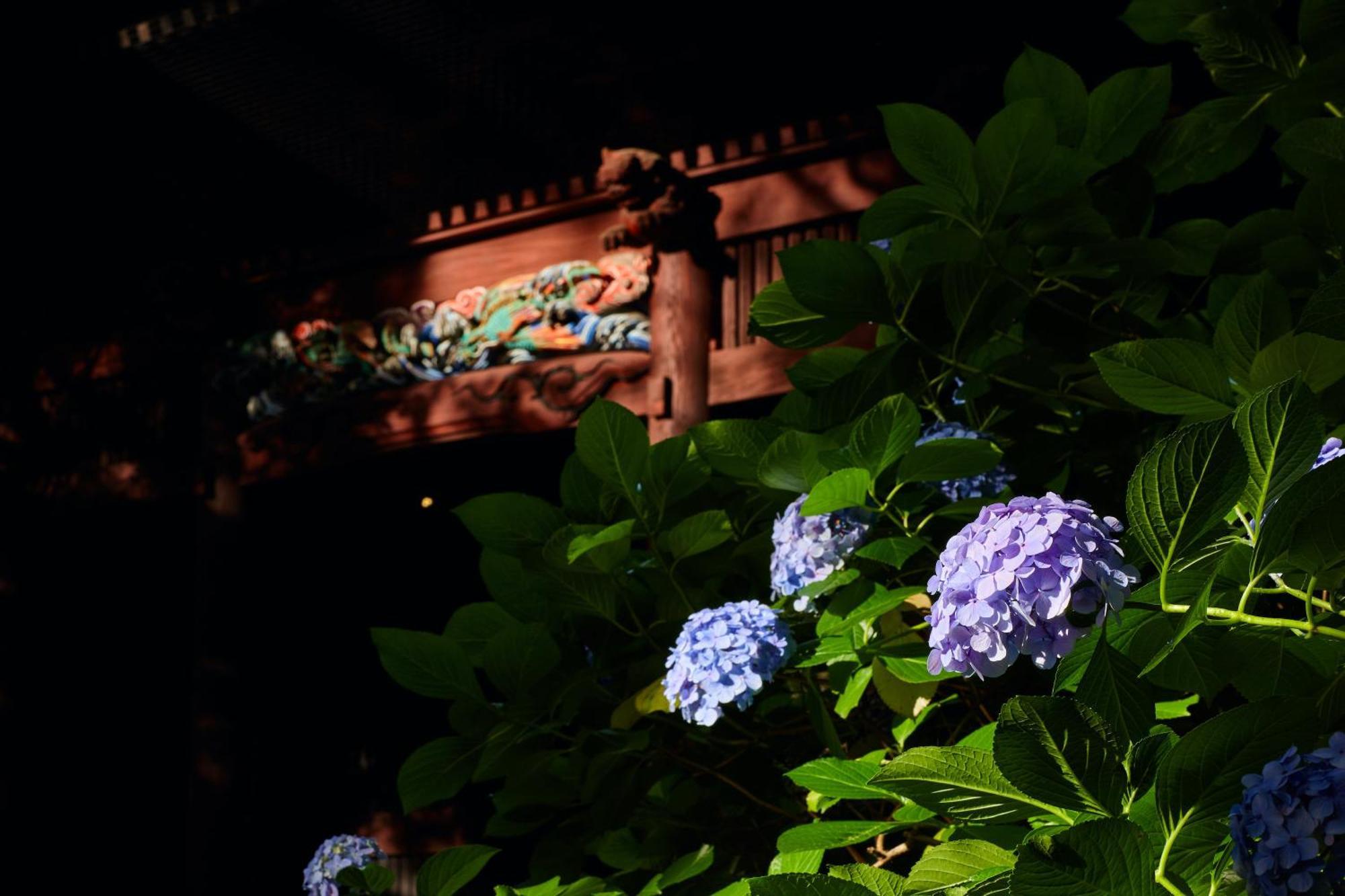 Kamakura Hotel Extérieur photo