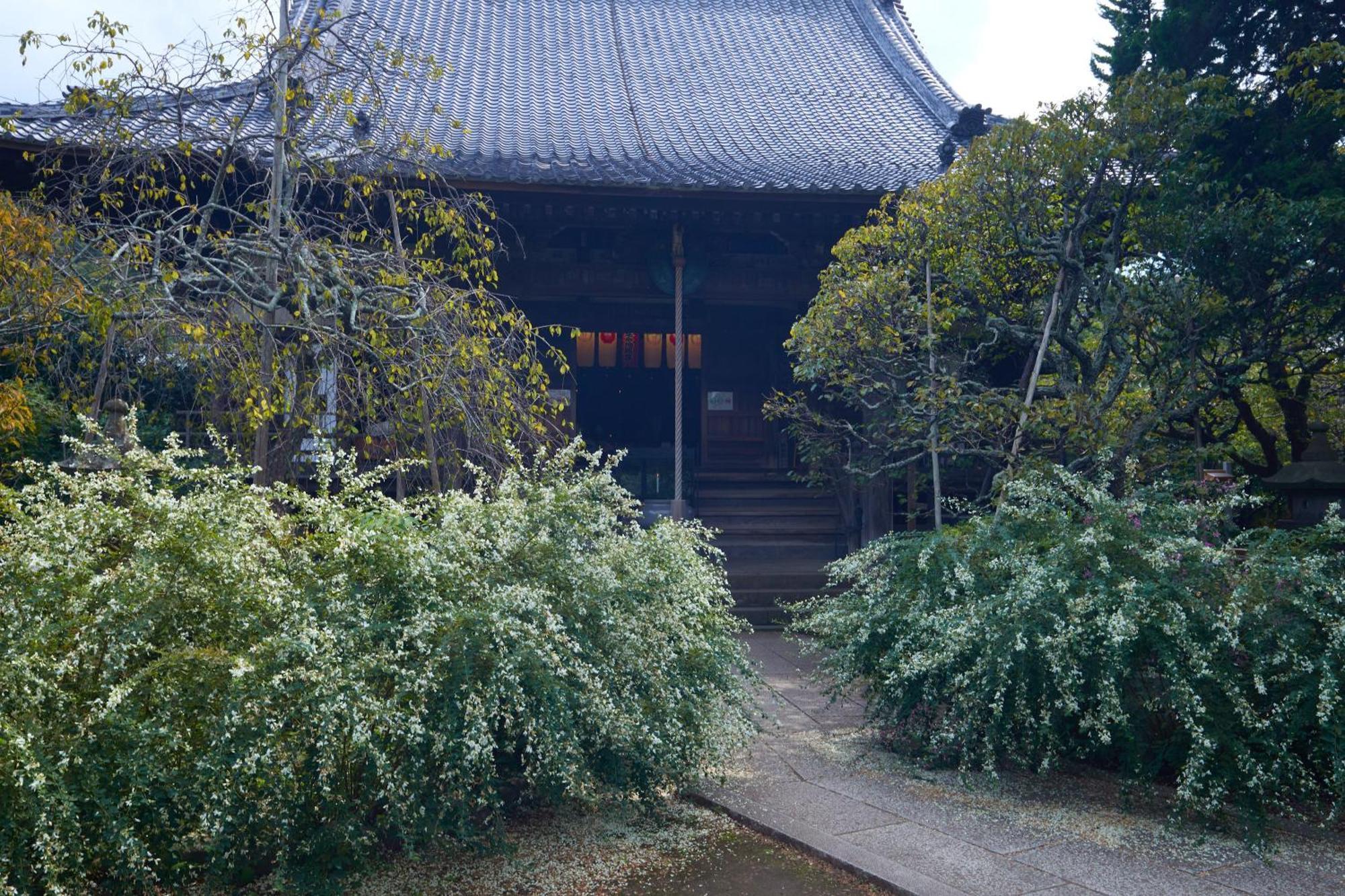 Kamakura Hotel Extérieur photo