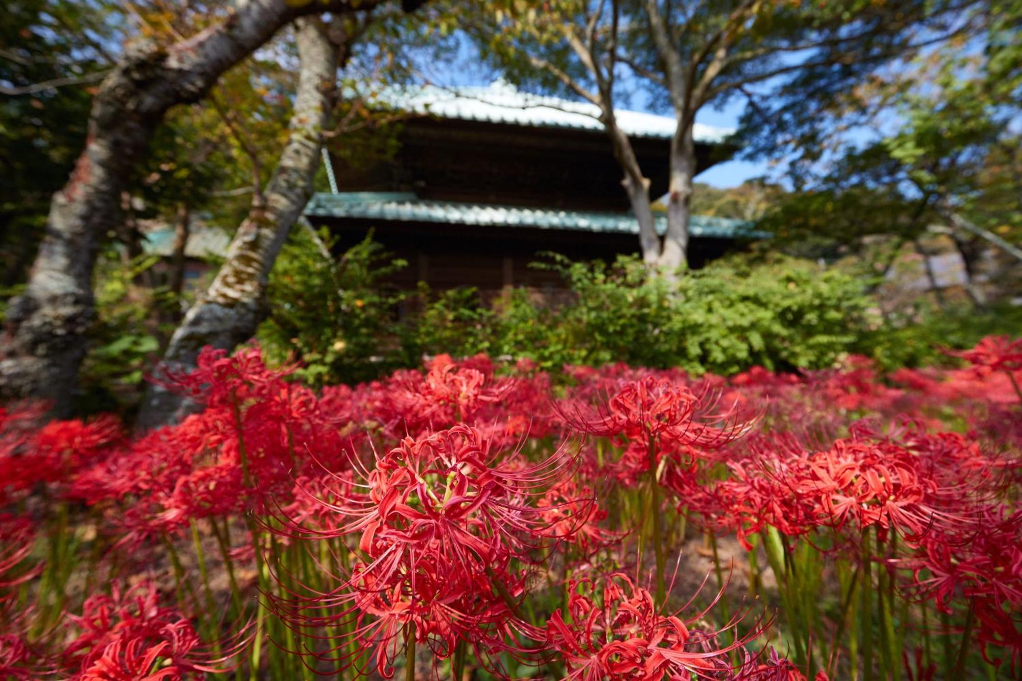 Kamakura Hotel Extérieur photo