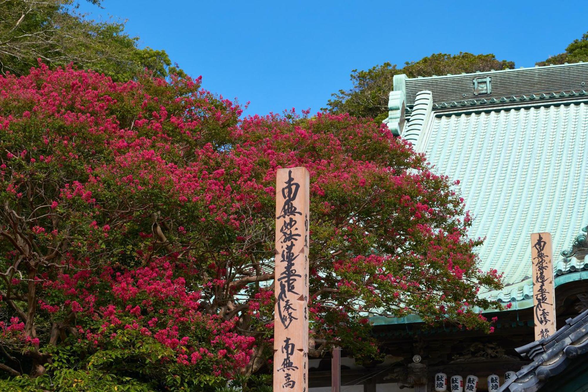 Kamakura Hotel Extérieur photo