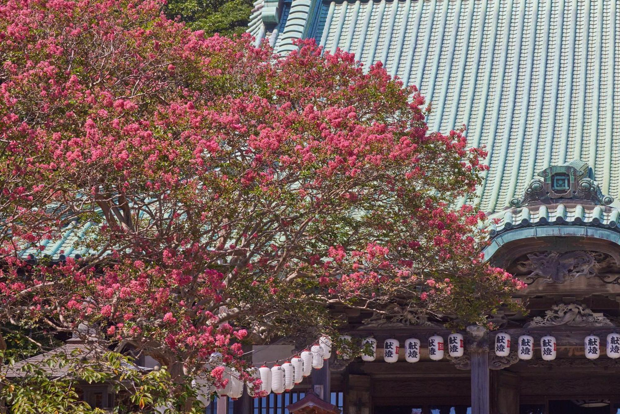 Kamakura Hotel Extérieur photo
